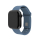 Pasek i akcesoria do zegarków FIXED Silicone Strap Set do Apple Watch 44/45/46/49 mm green-blue